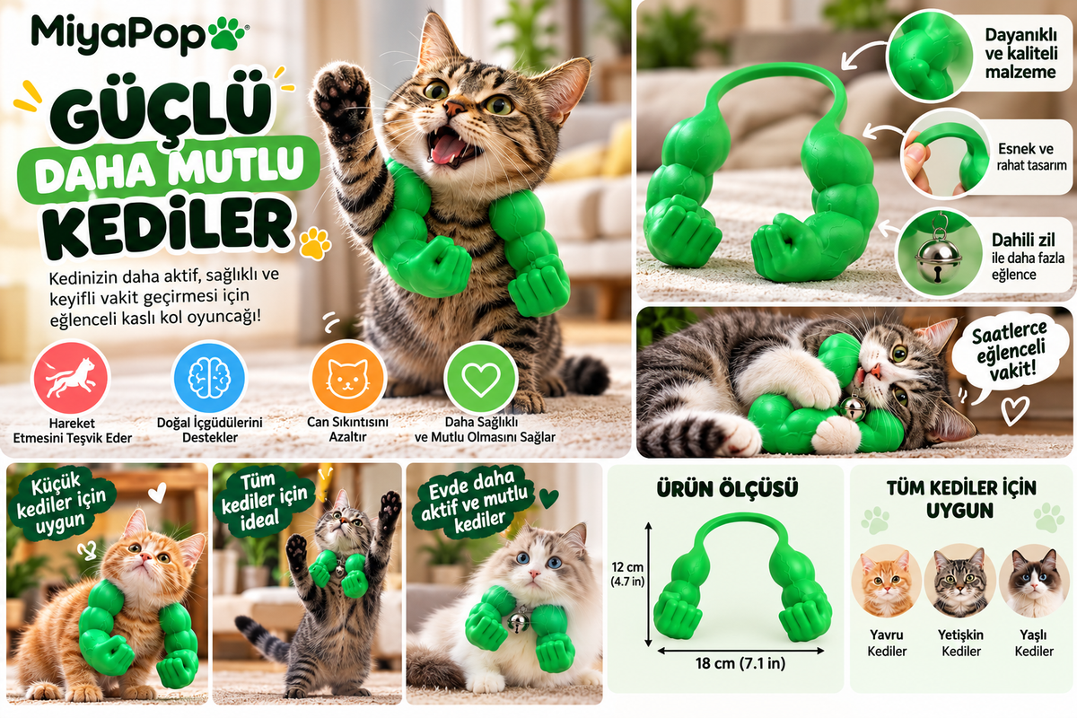 Miyapop Kaslı Kedi Kol Aksesuarı